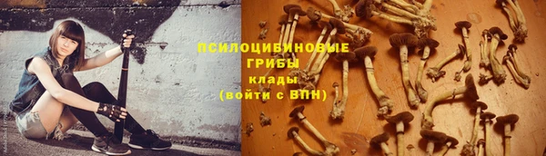 каннабис Лабытнанги