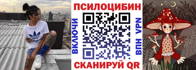 Галлюциногенные грибы Psilocybe  Купить  Нея 